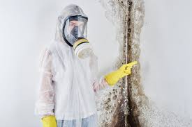 Best Attic Mold Removal  in Catalina, AZ